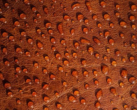 Leather water resistance