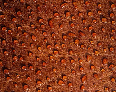 Leather Water Resistance: How to Protect Leather from Moisture