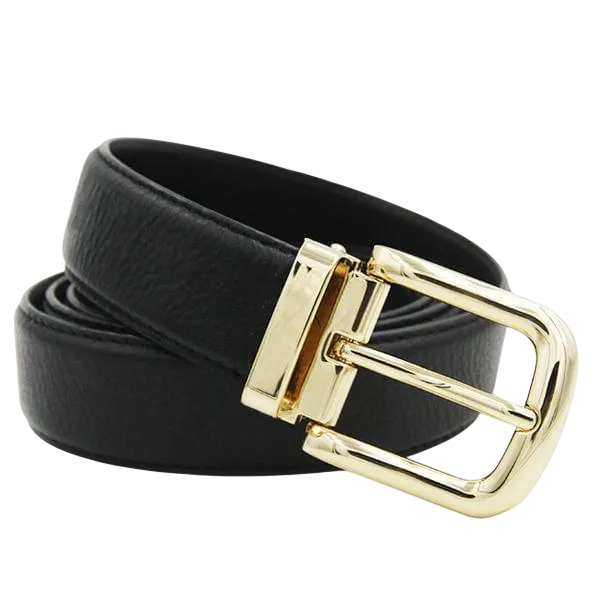 Gold pin and clip belt buckle, close-up detail of prong and clasp