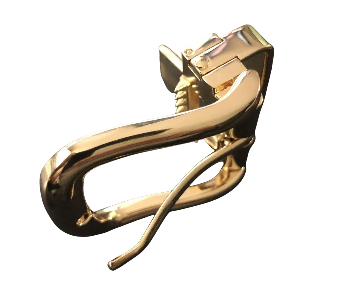 Gold Pin and Clip Belt Buckle 2 | Hedonist-Style | Chicago