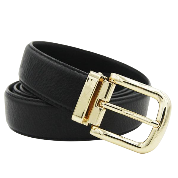 Gold Pin and Clip Belt Buckle 4 | Hedonist-Style | Chicago