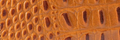 Brown Croco Embossed Bifold Wallet for Men