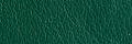 Apple Watch Band Green