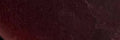 Small Soft Leather Eye Glasses Case Burgundy