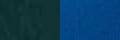 Women's Dark Green / Blue Leather Belt 1" Reversible