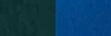 Women's Dark Green / Blue Leather Belt 1" Reversible
