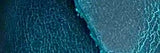 Soft Leather Eye Glasses Case Teal